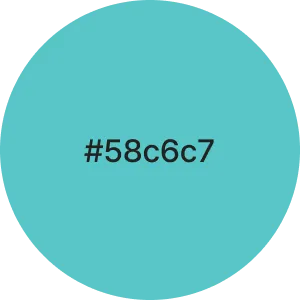 #58c6c7